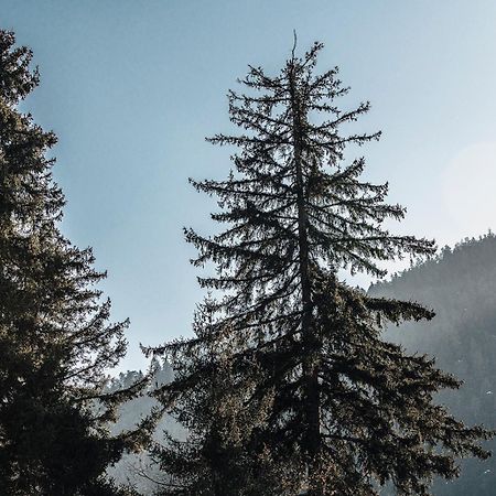 Roombox Likani Боржоми Экстерьер фото